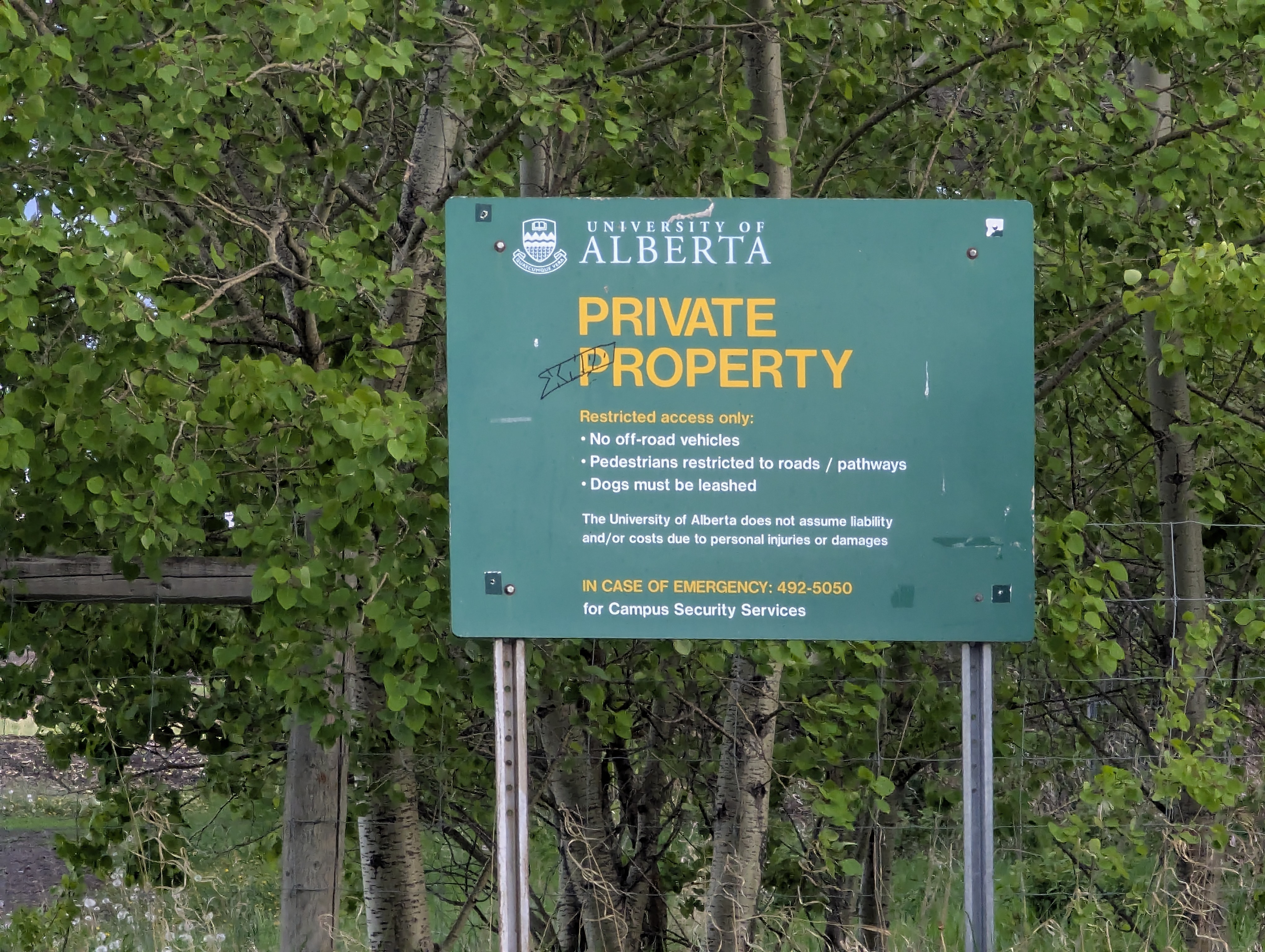 Birthday Trip to Canada, Edmonton